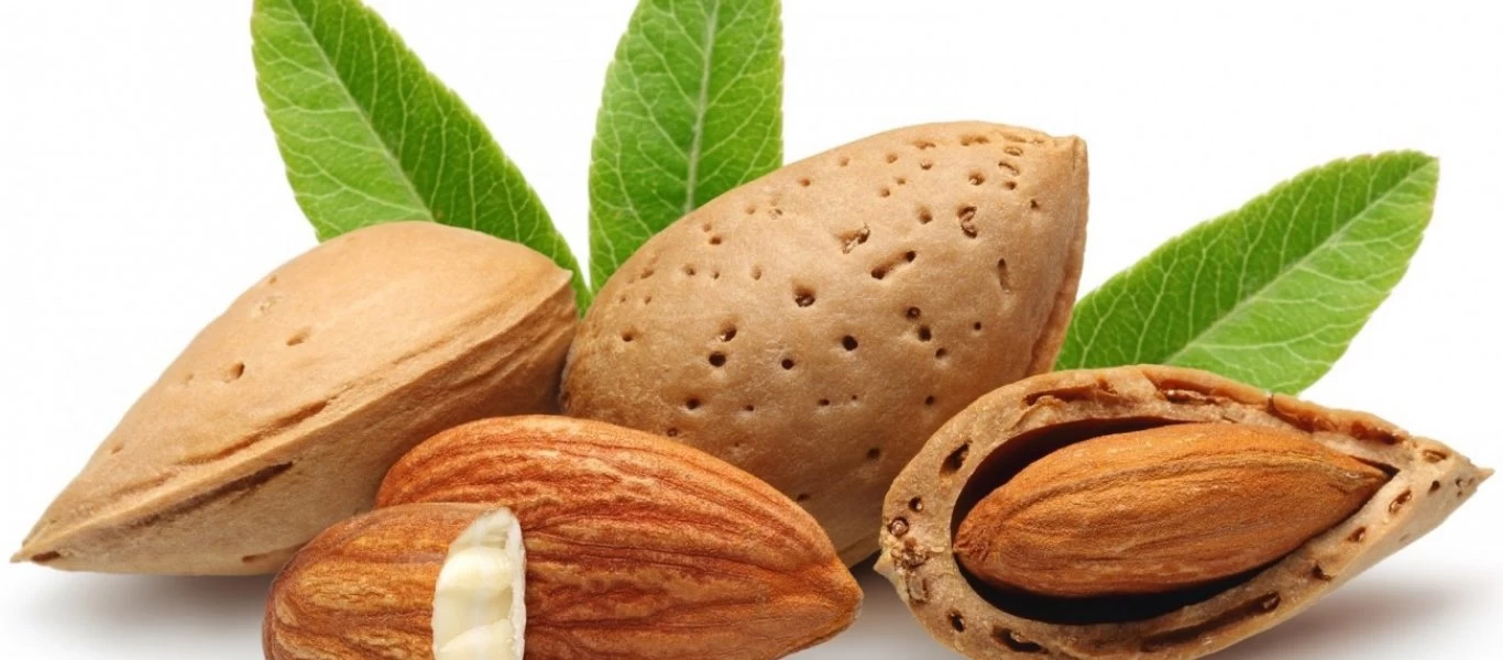 Να τι θα συμβεί στο σώμα σας αν καταναλώνετε καθημερινά 12 αμύγδαλα (βίντεο)